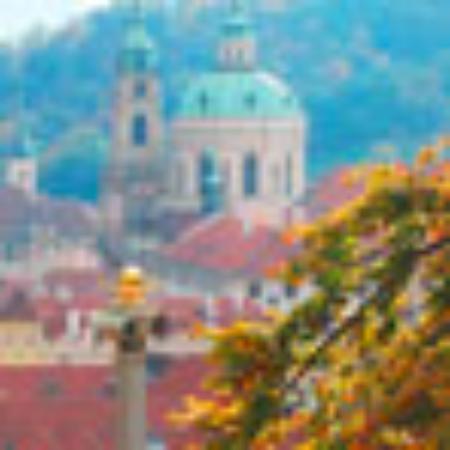 Salad Sensations At CNN